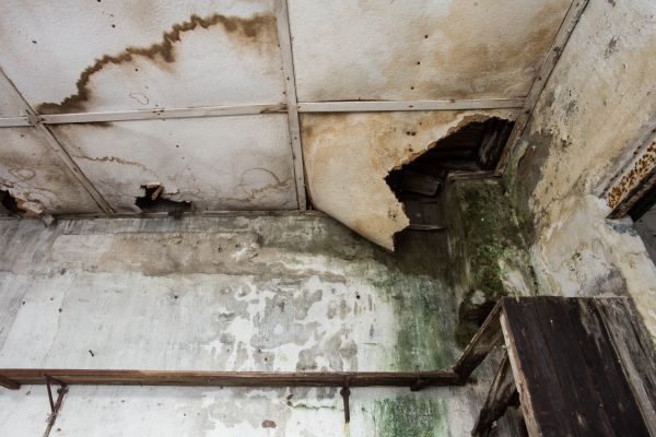 Water Damage Service in Lakeland