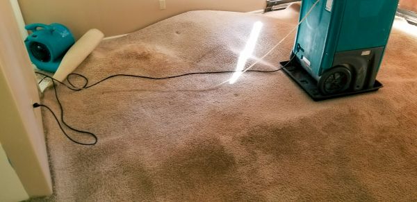 Flood Damage Cleanup in Lakeland