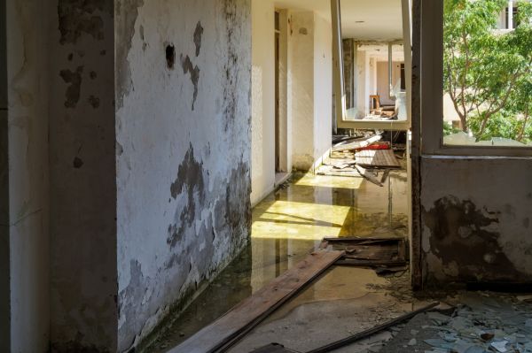 Water Removal Service in Lakeland