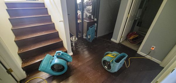 Water Damage Remediation in Lakeland