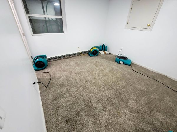Flood Restoration Service in Lakeland