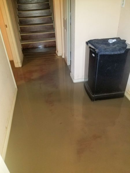 Emergency Water Removal in Lakeland