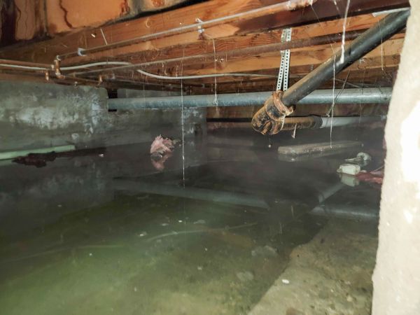 Cost of Crawl Space Drying in Lakeland