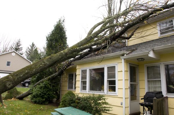 Hurricane Damage Repair in Lakeland