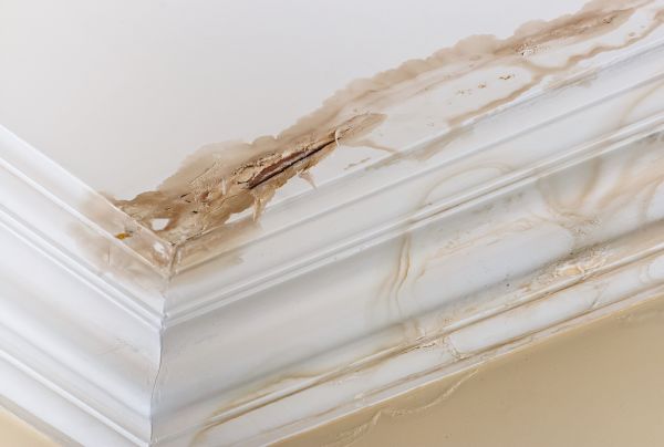 Cost of Water Damage Recovery in Lakeland