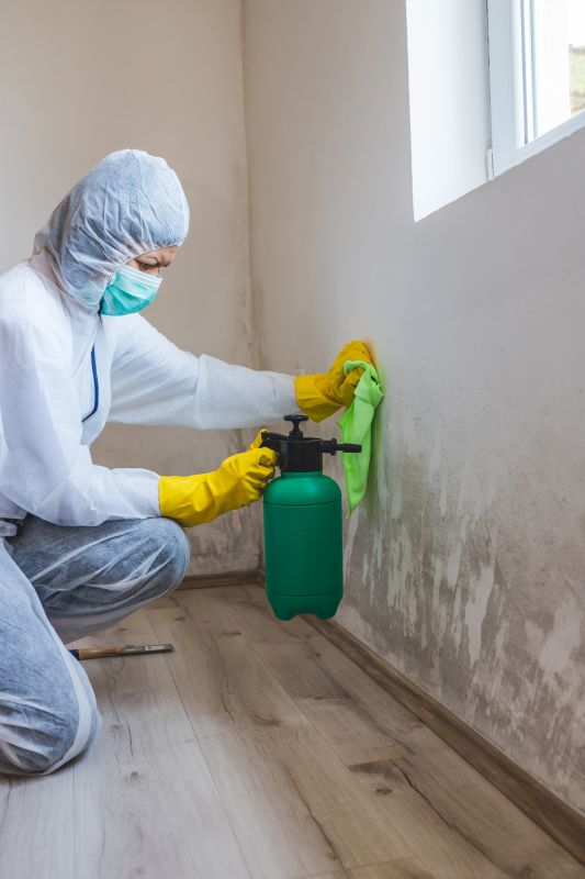 Mold Prevention Measures